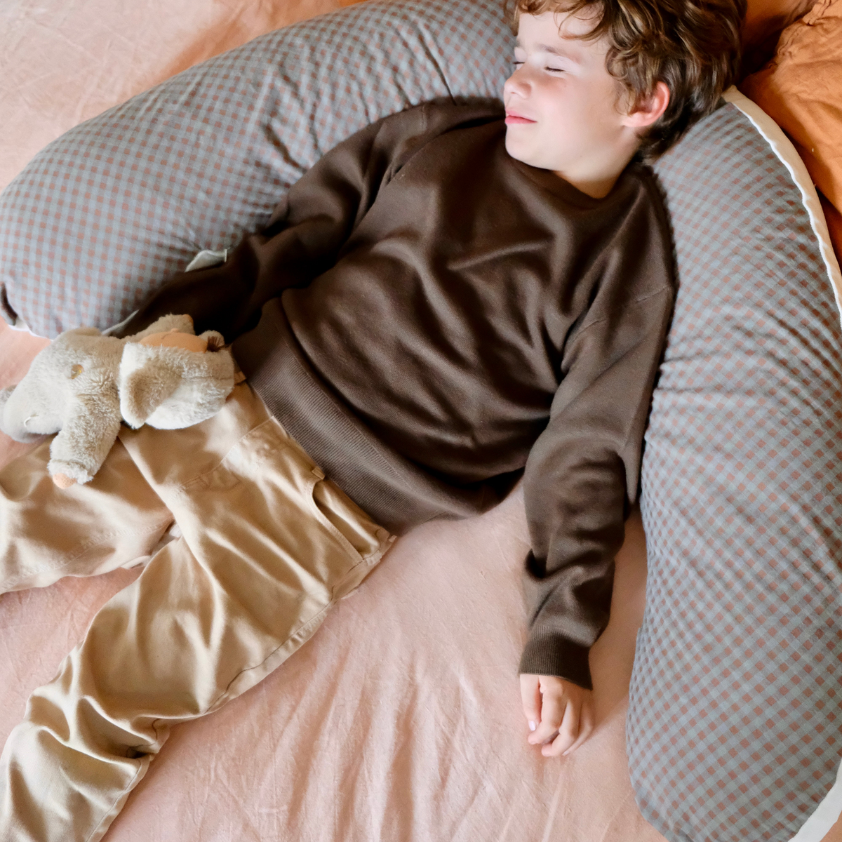 Vichy Châtaigne Nursing Pillow