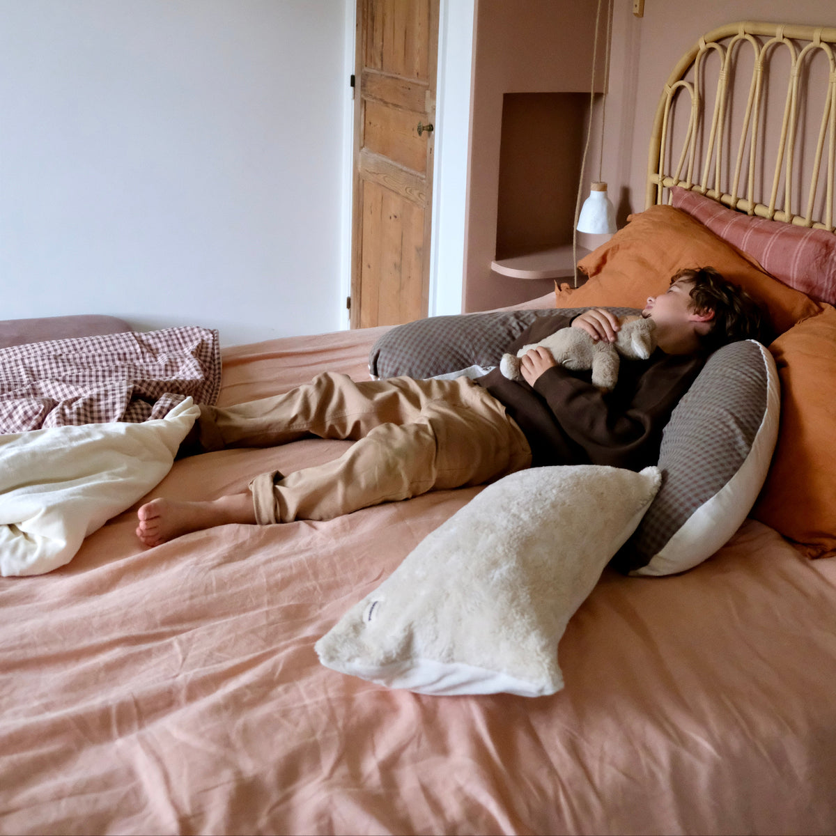 Vichy Châtaigne Nursing Pillow