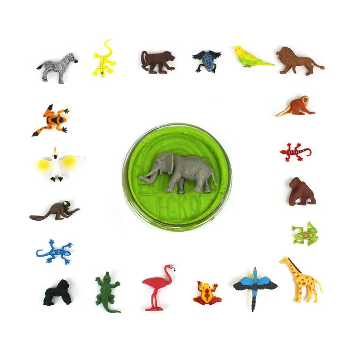 Wild Animals Hidden Surprise
